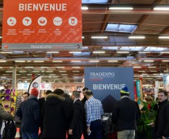 Salon Tradexpo : Janvier 2017