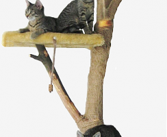 Comment monter son propre arbre à chat ?