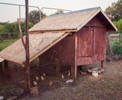 Comment construire un poulailler en bois ?