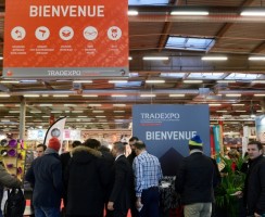 Salon Tradexpo : Janvier 2017